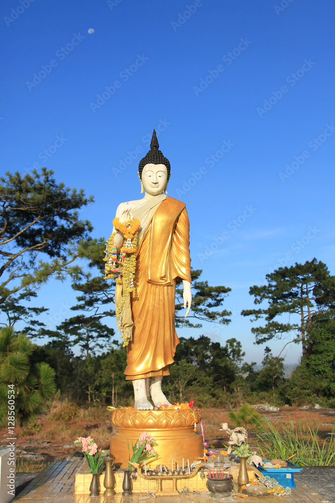 Obraz premium PhuKradueng buddhism