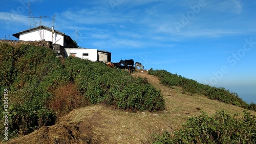 Haus auf dem Berg