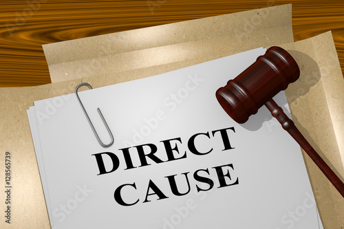 Direct Cause - legal concept