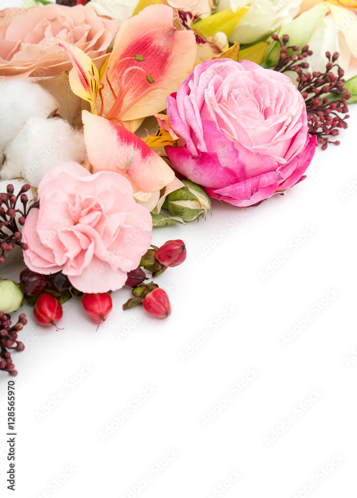 Elegant flowers on white background