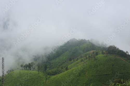 mountains and mist in the morning in Nan ,Thailand © pantkmutt