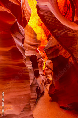 The Amazing Light in Antelope Canyon