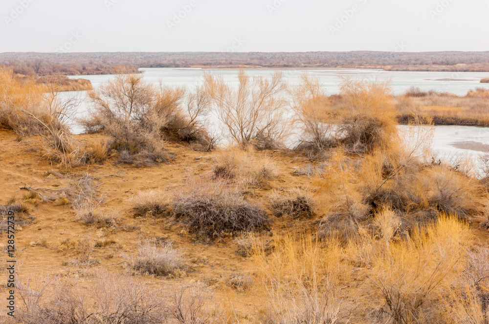 river in spring steppe