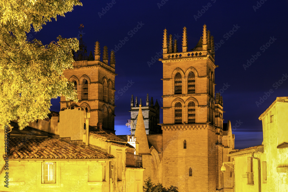 Montpellier Cathedral at night