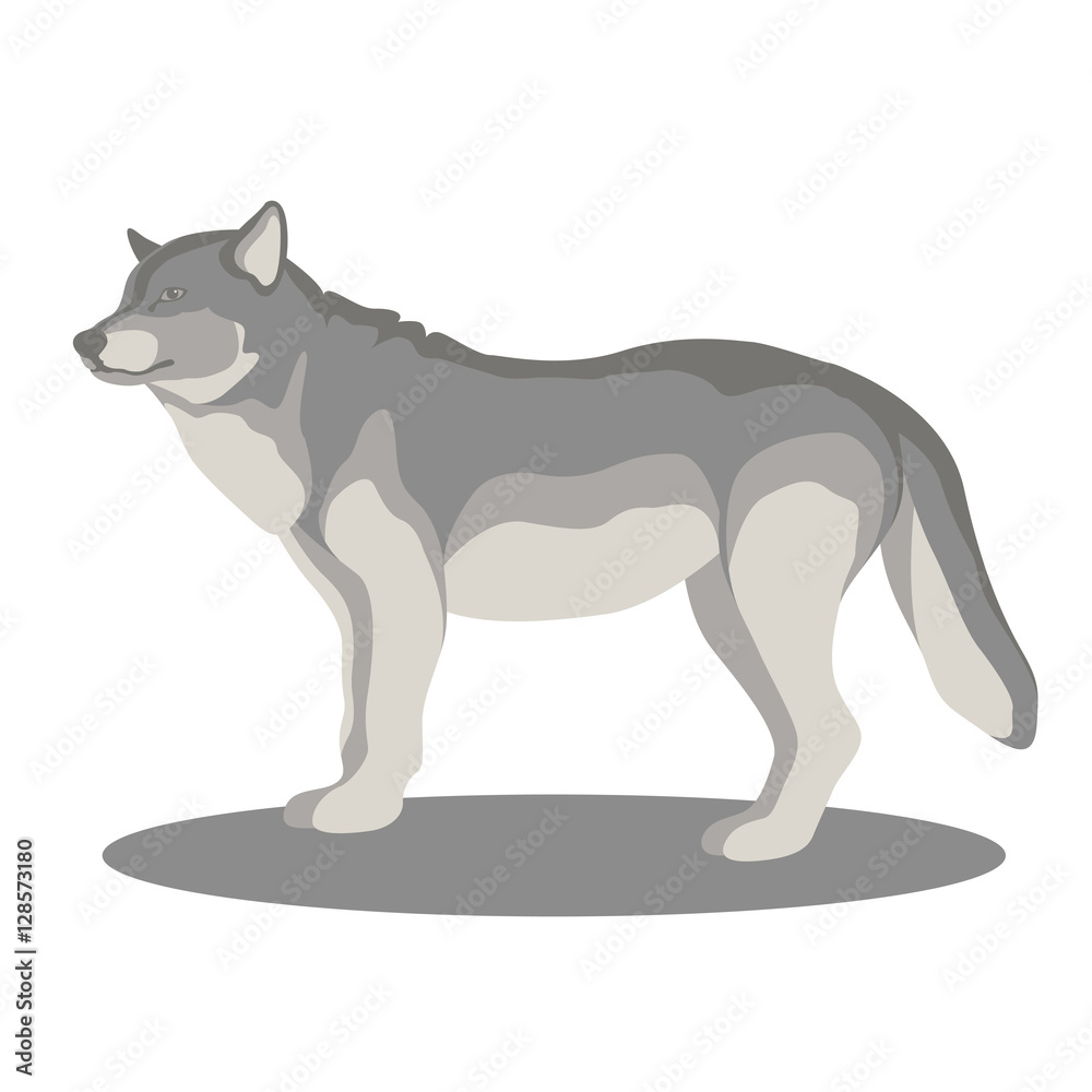 wolf vector illustration style Flat side profile