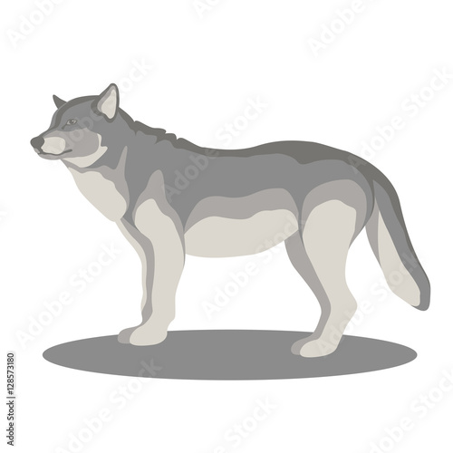 wolf vector illustration style Flat side profile