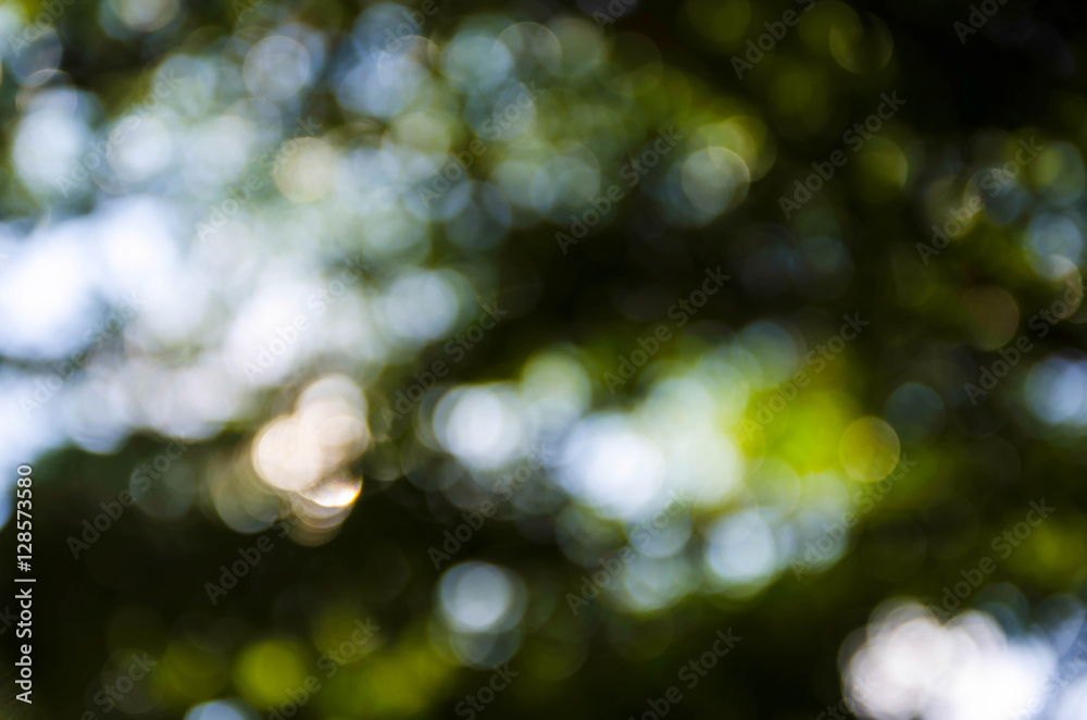 Obraz premium Beautiful green bokeh natural blur background