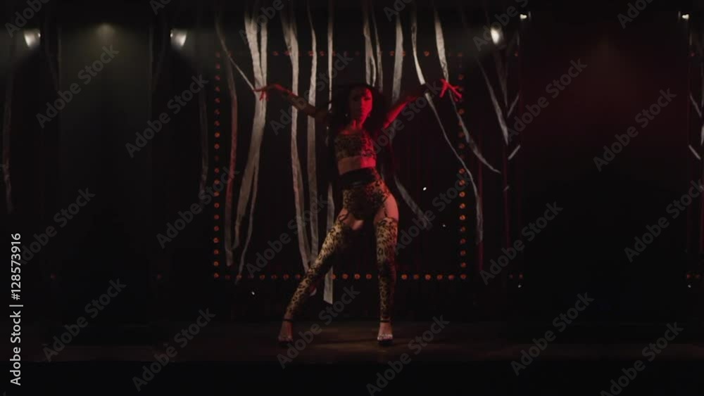 Beautiful Woman Doing Strip Dance On The Stage Young Pretty Female 