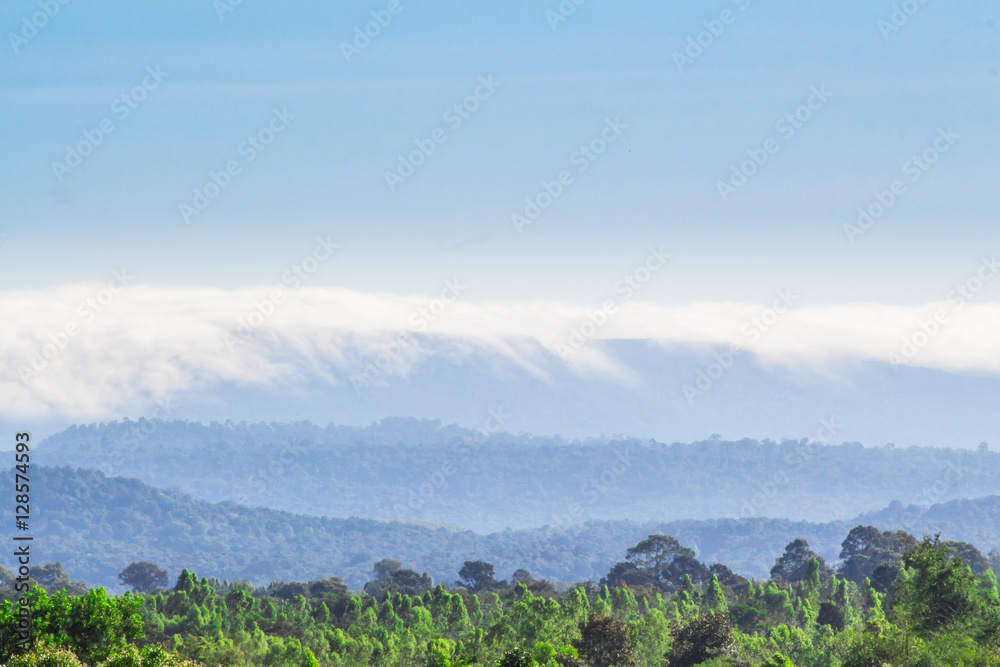 Landscape in the daytime.