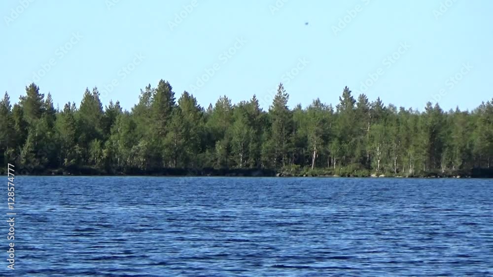 Coniferous forest of the Russian Arctic Coniferous forest of the Russian Arctic