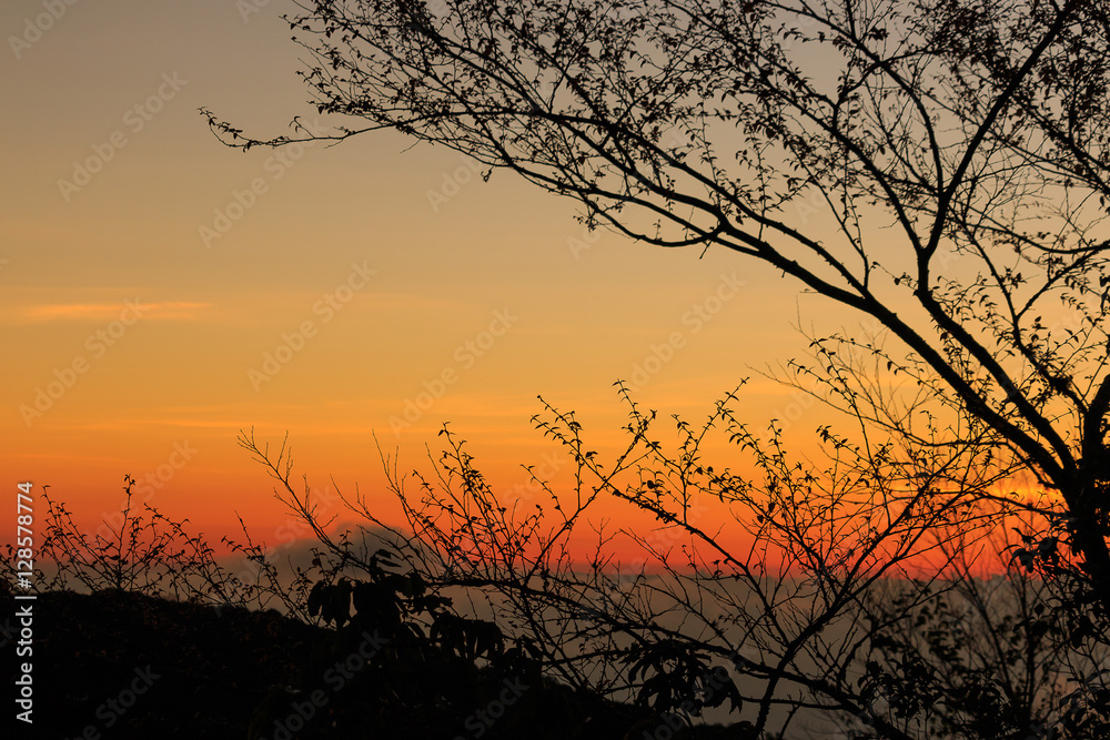 silhouette photo , sunrise and smooth meadow silhouette photo , sunrise and smooth meadow
