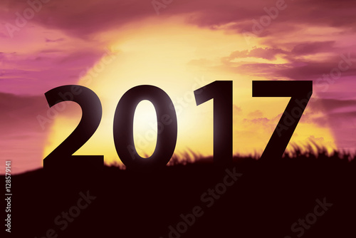 2017 new year concept