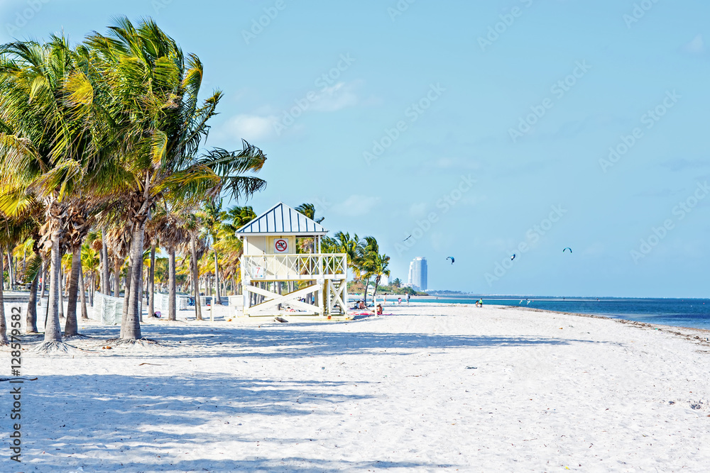 Obraz premium Beautiful Crandon Park Beach located in Key Biscayne in Miami.