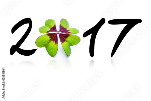 2017 Mit Klee
