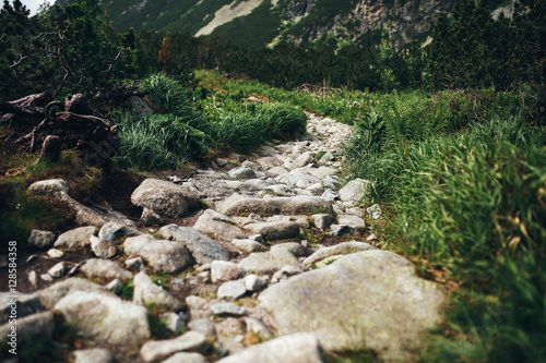 charming stone path on nature in the mountains