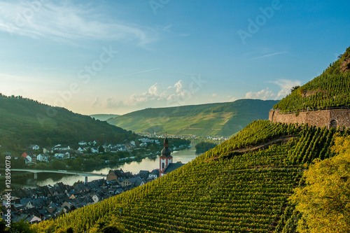 Vineyards on the background hills and rivers. Beautiful rows of grapes on the hill, below the ancient small town of Zell (Mosel). Across the river runs the bridge. Blue sky and white clouds. Germany
