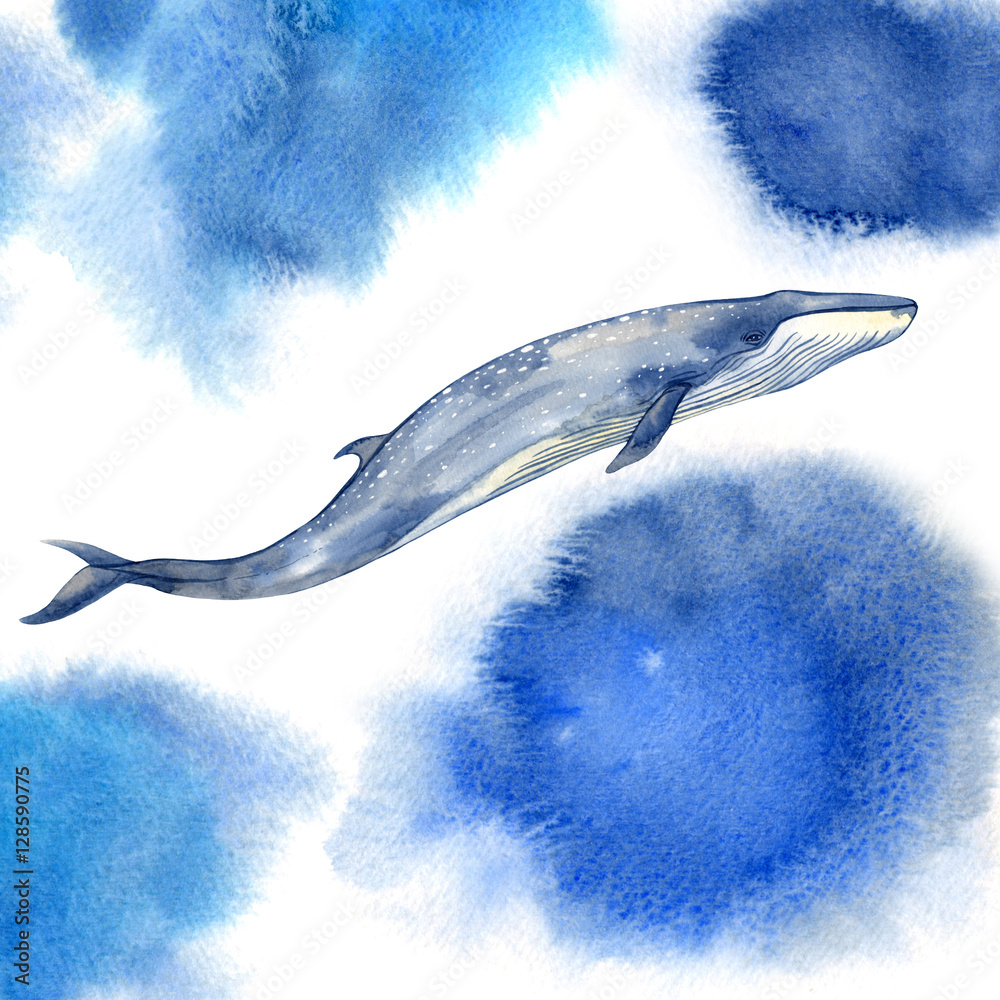 Watercolor whale on blue watercolor background Stock Illustration ...