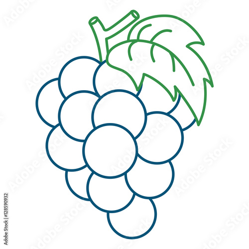 Coloring Page Illustration of Grape