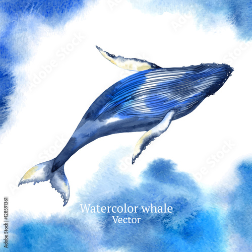 Vector watercolor whale