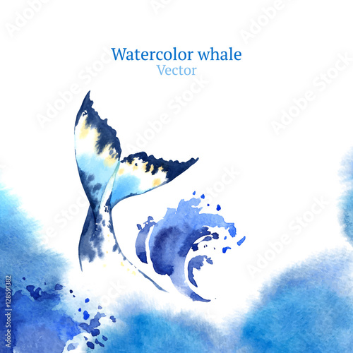 Vector watercolor whale