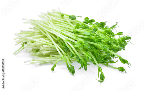fresh snow pea sprouts isolated on white background