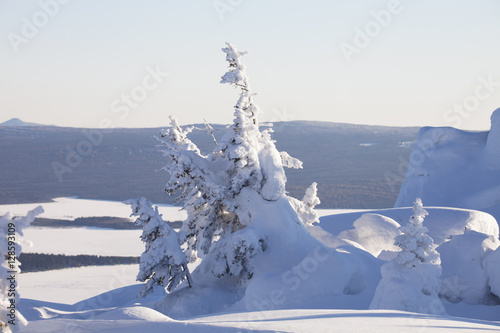 Mountain range Zyuratkul, winter landscape. Snow covered spruces