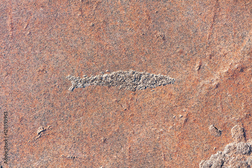 Fish figure rock engraving carved on granite. Onega Lake, Besov Nos cape, Karelia Republic, Russia.
 photo