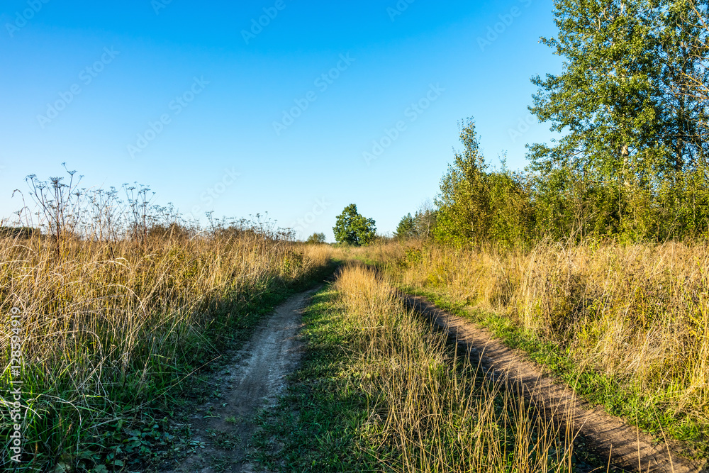 Fototapeta premium Dirt road in a field.