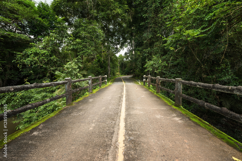 Obraz premium Country road and concrete bidge for entry to the forest