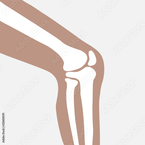 human knee