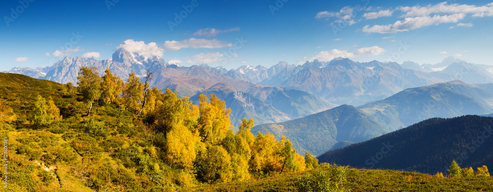 Fototapeta premium beautiful autumn landscape