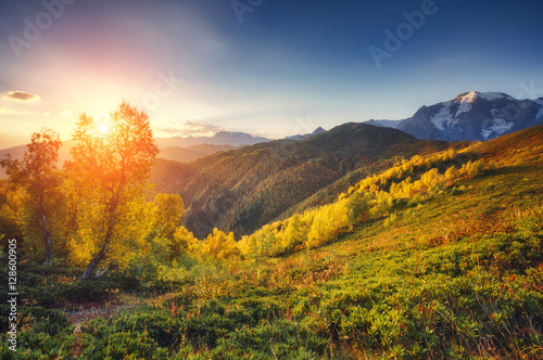 beautiful autumn landscape © Leonid Tit