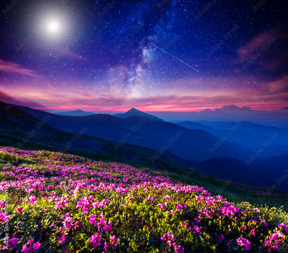 Fototapeta premium starry night in mountain