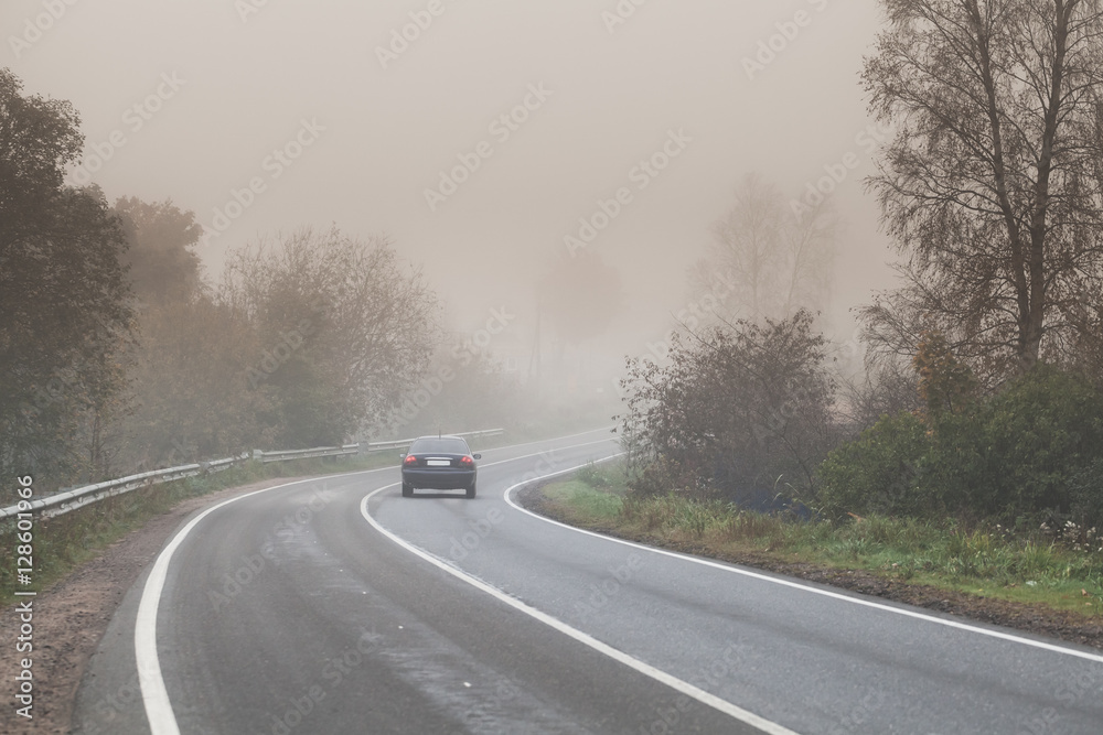 Fototapeta premium Foggy road, car goes on empty highway