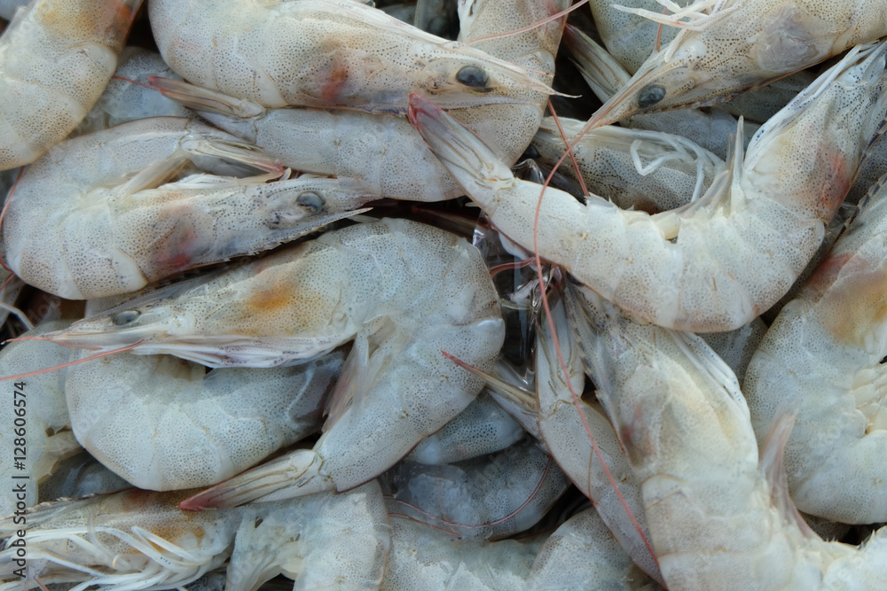 Fresh shrimp