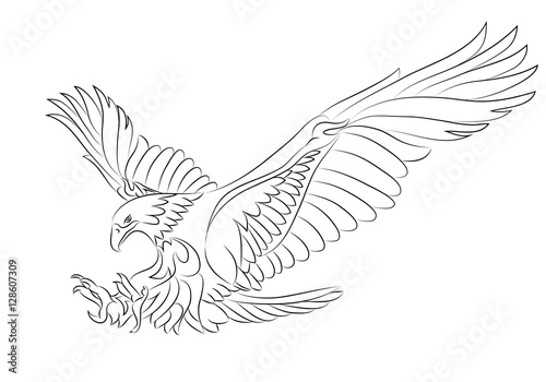 sea eagle tattoo