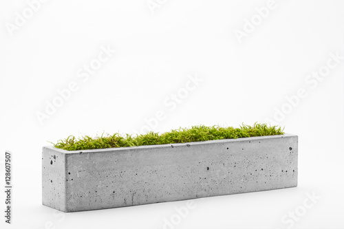 Concrete pots with moss