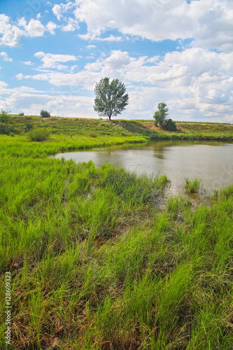 Rural landscape