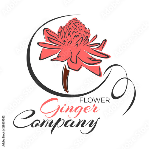 Ginger Flower logo
