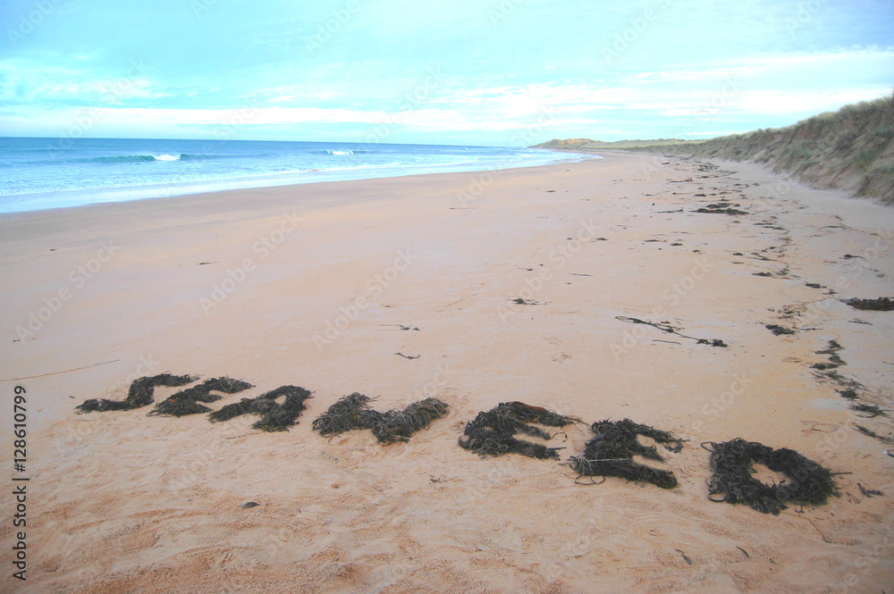 Fototapeta premium Seaweed Written on Beach in Seaweed