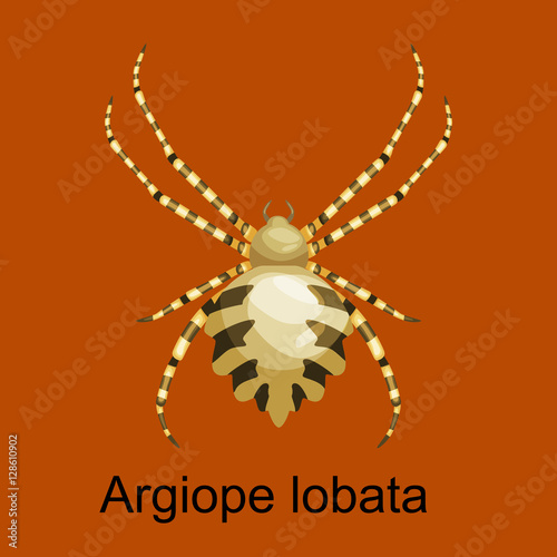 Spiders cartoon set, dangerous insects collection