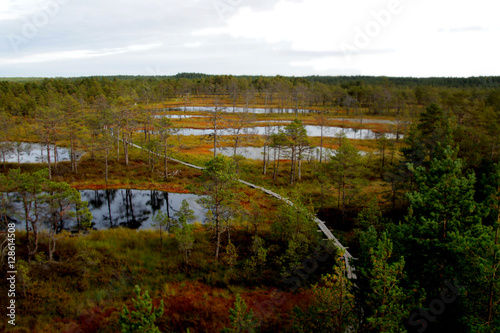 Viru bog