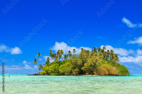 Island in the Muri lagoon  Rarotonga  Cook Islands