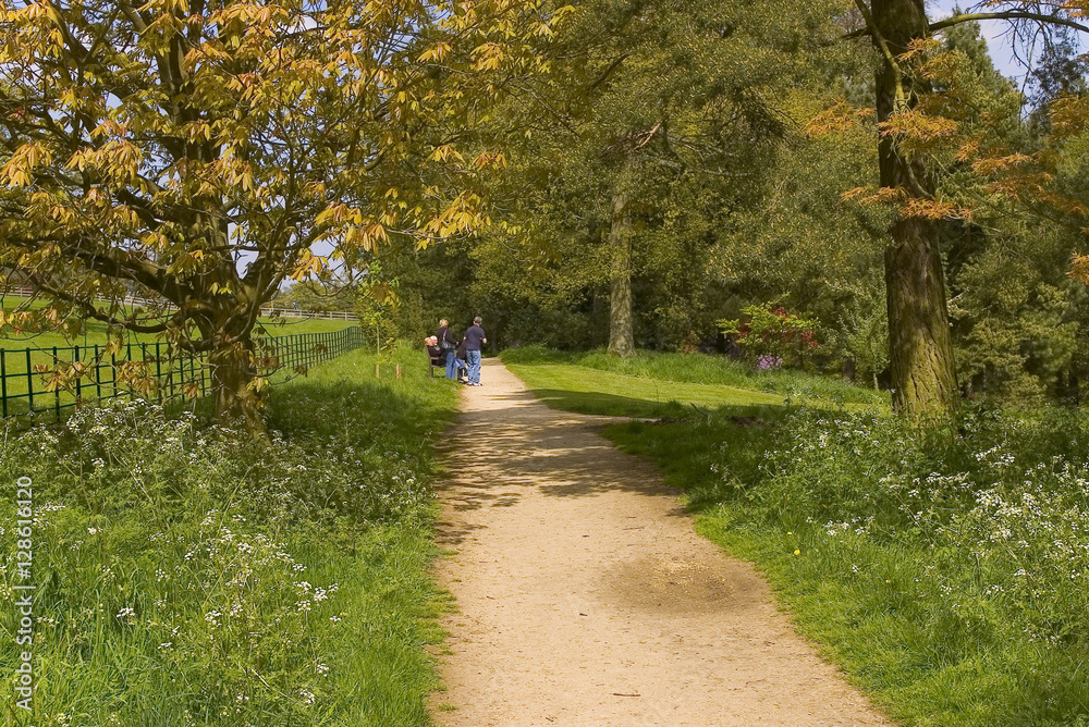 Fototapeta premium grounds of batsford stately home and arboretum cotswolds england