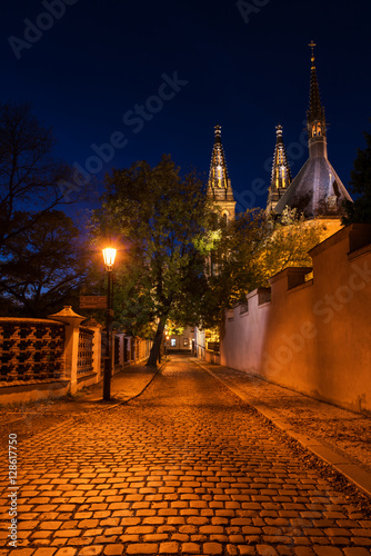 Paving stone road to the Church of St. Peter and St. Paul at night, Vysehrad, Prague, Czech Republic, vertical image