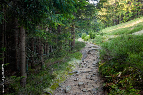Fototapeta Naklejka Na Ścianę i Meble -  Beautiful autumn Beskidy mountains landscape