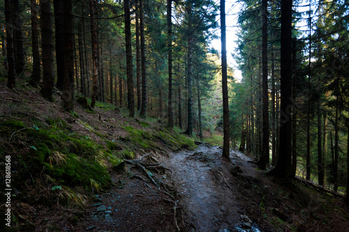 Fototapeta Naklejka Na Ścianę i Meble -  Beautiful autumn Beskidy mountains landscape
