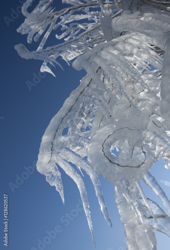 Icicle. Ice. Frozen. Winter.