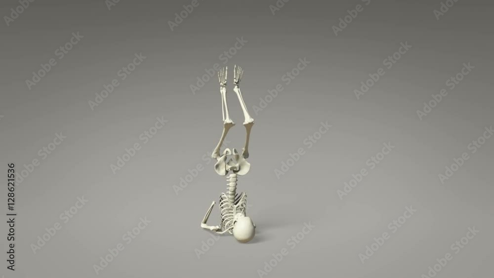 Pushing Legs Exercise Of Human Skeletal Pushing Legs Exercise Of Human Skeletal