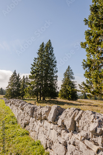 Le Brassus, Vallée de Joux, Naturpark, Col du Marchairuz, Jura, Landwirtschaft, Trockensteinmauer, Wanderweg, Wanderferien, Passstrasse, Herbst, Schweiz photo